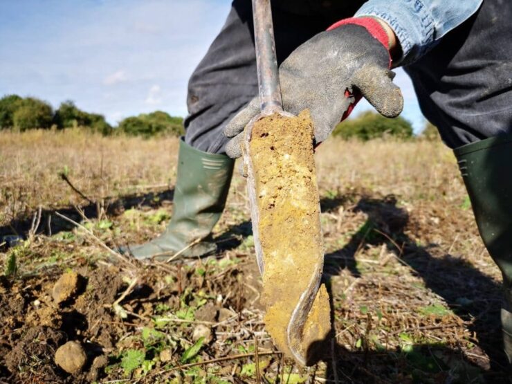 Coleta de amostra de solo sendo feita