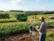 Fazenda sustentável e mercado de carbono