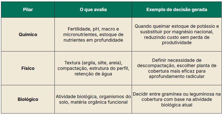Pilares do diagnóstico completo do solo