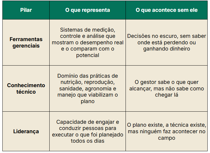 Gestão financeira como estratégia: por que o plano precisa governar a fazenda