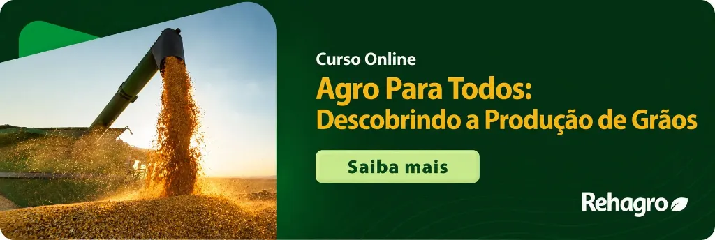 Banner Curso Descobrindo a Produção de Grãos