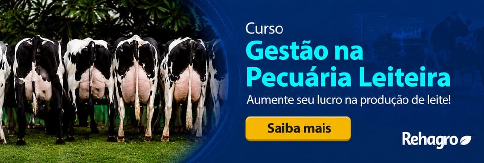 Banner Curso Gestão na Pecuária Leiteira