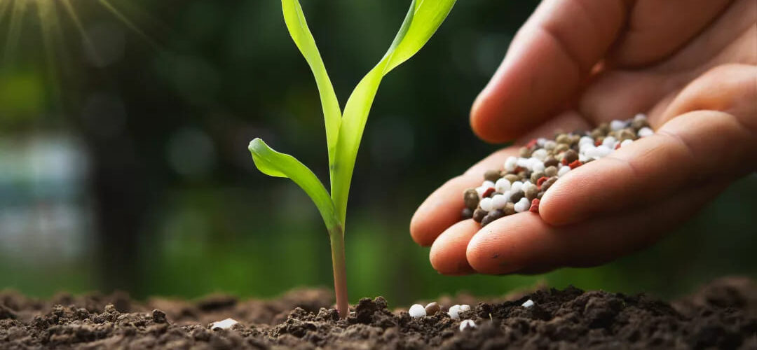 Fertilidade do solo e nutrição de plantas