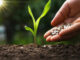 Fertilidade do solo e nutrição de plantas