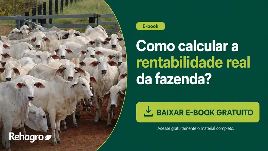 E-book Como calcular a rentabilidade real da fazenda de corte?