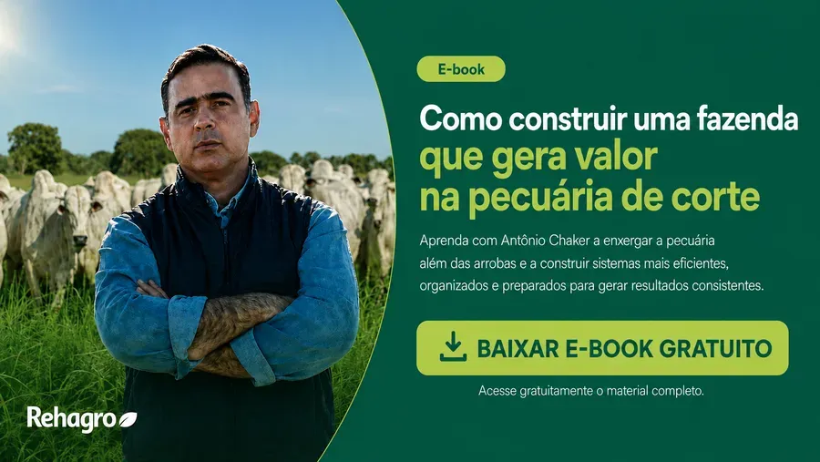 E-book Como construir uma fazenda de corte que entrega bons resultados