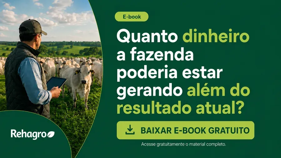 E-book Quanto dinheiro a fazenda de gado de corte pode gerar além do resultado atual?