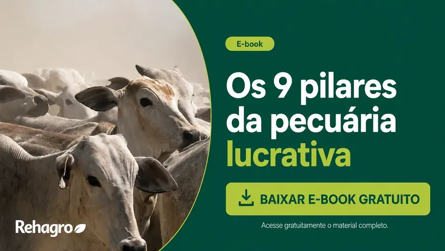 E-book Os 9 pilares da pecuária lucrativa