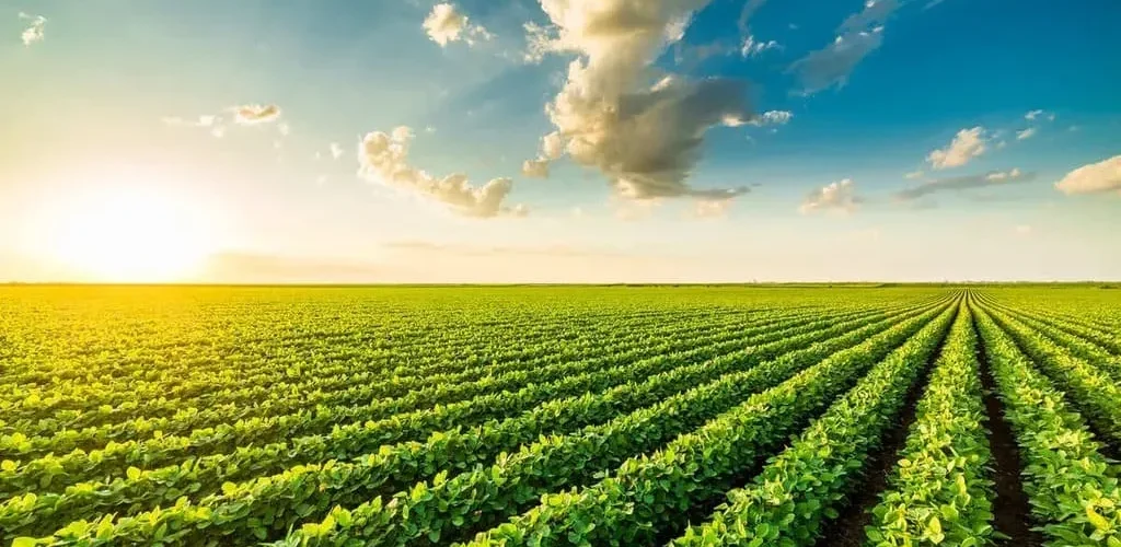 Sustentabilidade no agronegócio