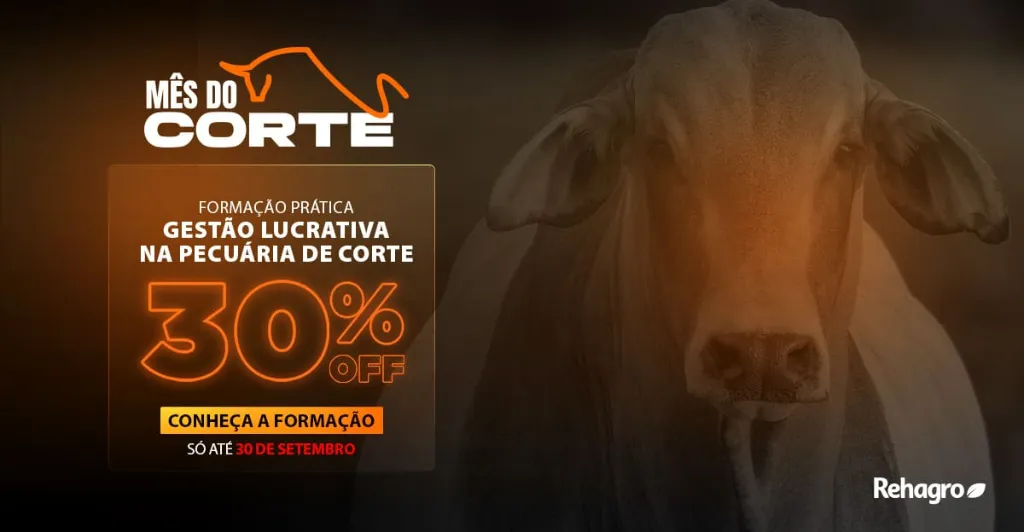 Clique e conheça a formação! Banner Formação Prática Gestão Lucrativa na Pecuária de Corte