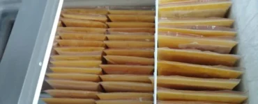 Colostro bovino armazenado em um freezer