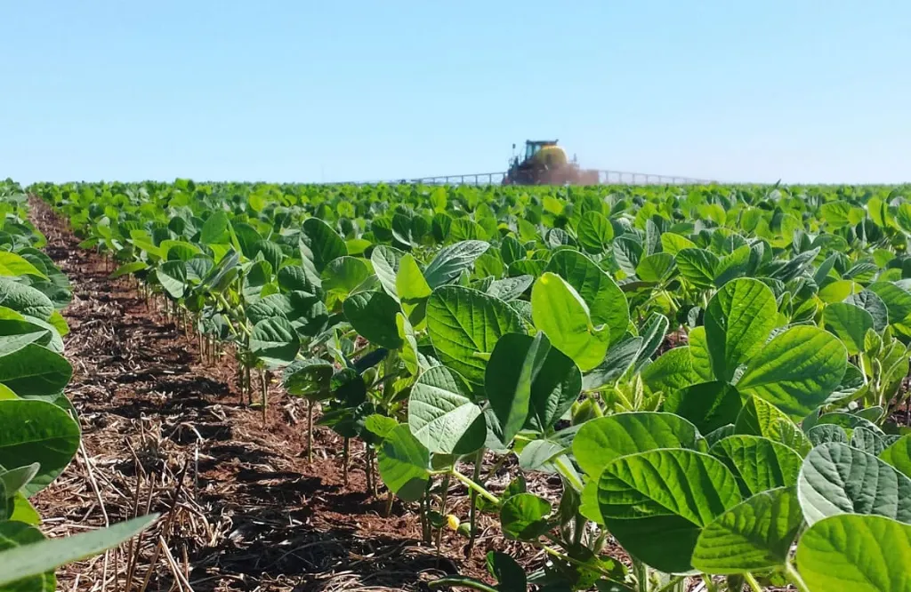 Yield gap em soja e milho: como reduzir perdas e aumentar a lucratividade no campo
