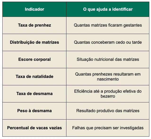 Principais indicadores da estação de monta