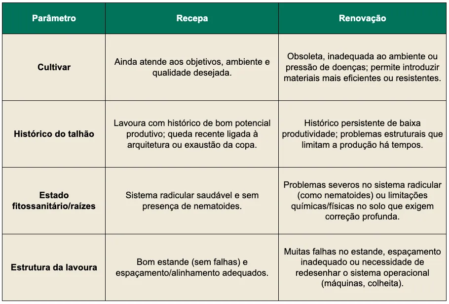 Recepa ou renovação: como decidir o melhor para a lavoura de café?
