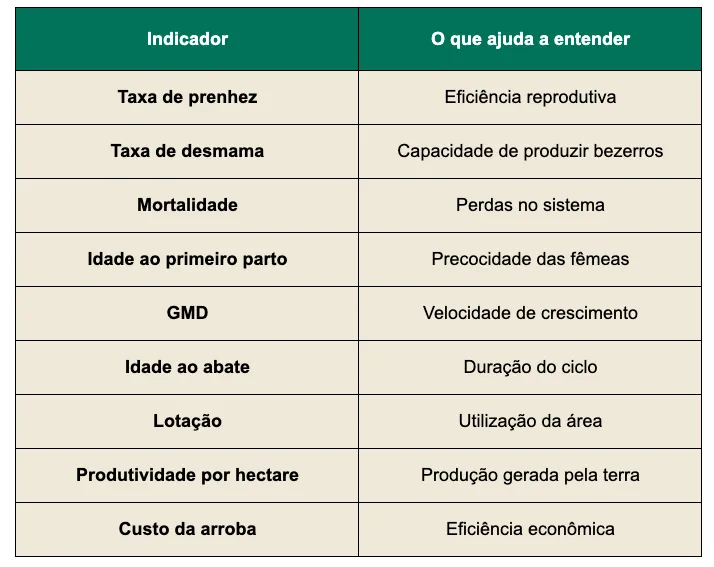 Indicadores que devem ser analisados junto com o desfrute