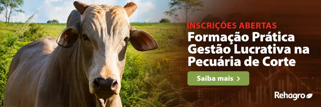 Banner Formação Prática Gestão Lucrativa na Pecuária de Corte