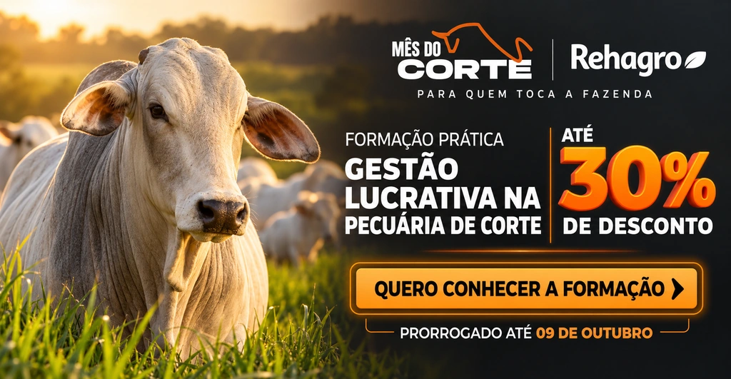 Clique e conheça a formação! Banner Formação Prática Gestão Lucrativa na Pecuária de Corte